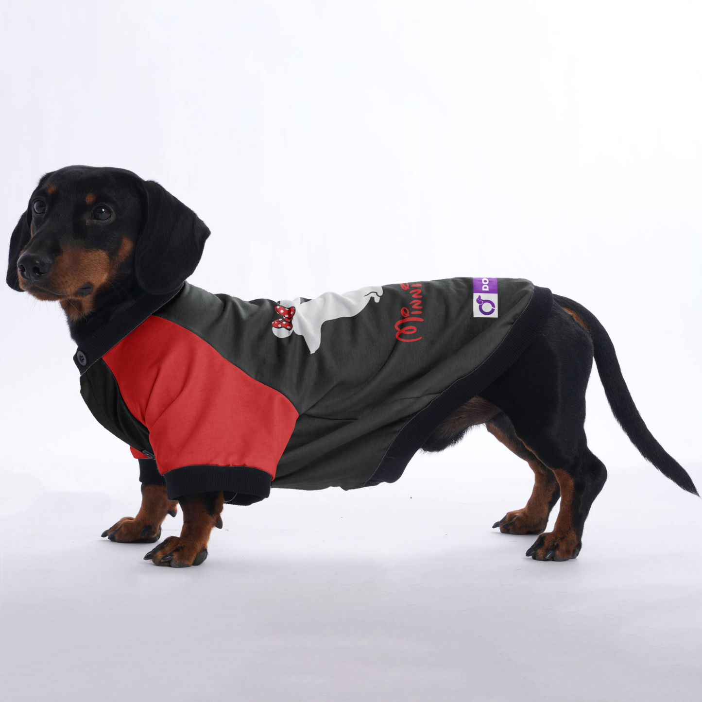 Minnie Doxie - Jacket for Dachshunds