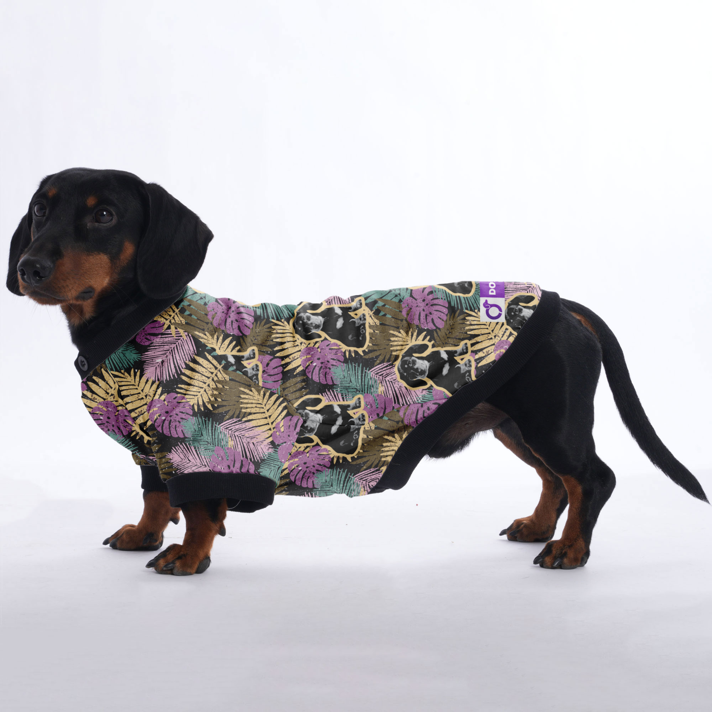 Personalized Doxie Jacket with Your Pup's  picture