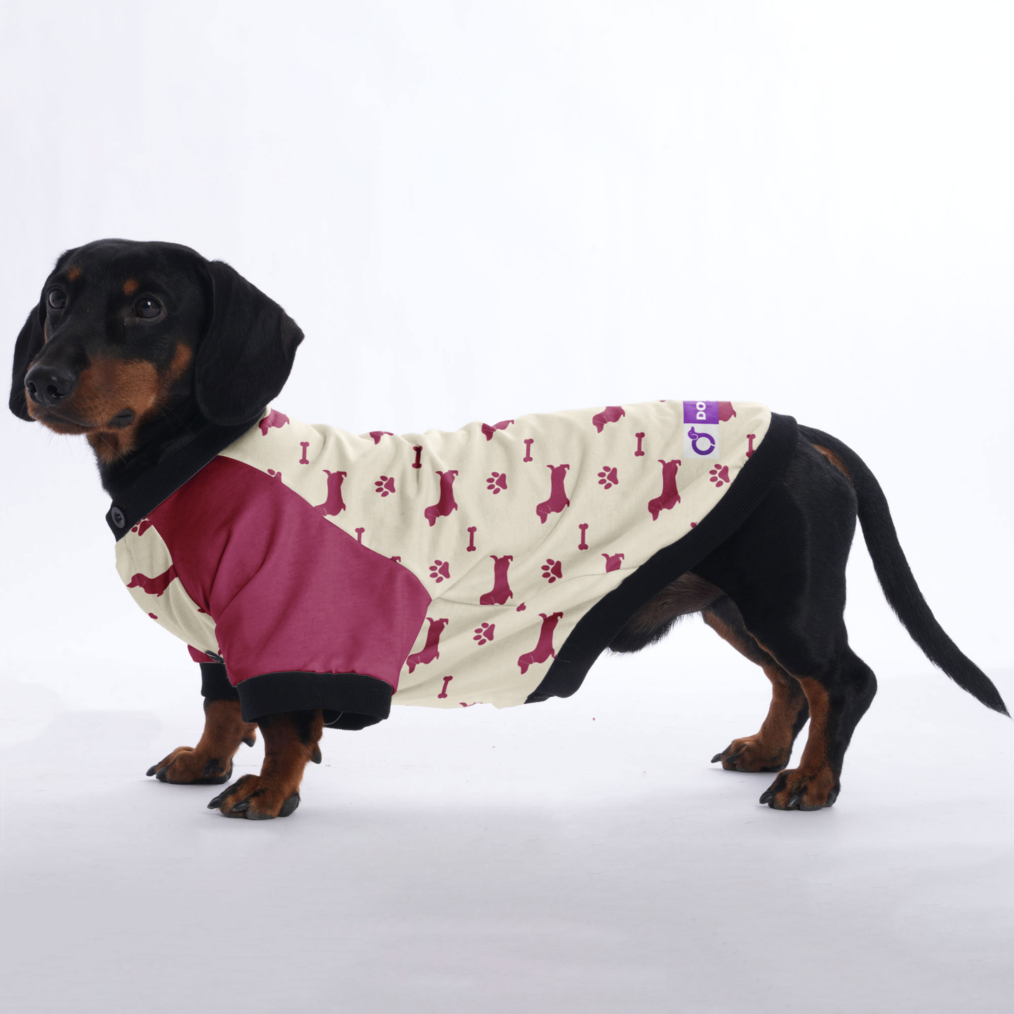 Lulu - Jacket for Dachshunds