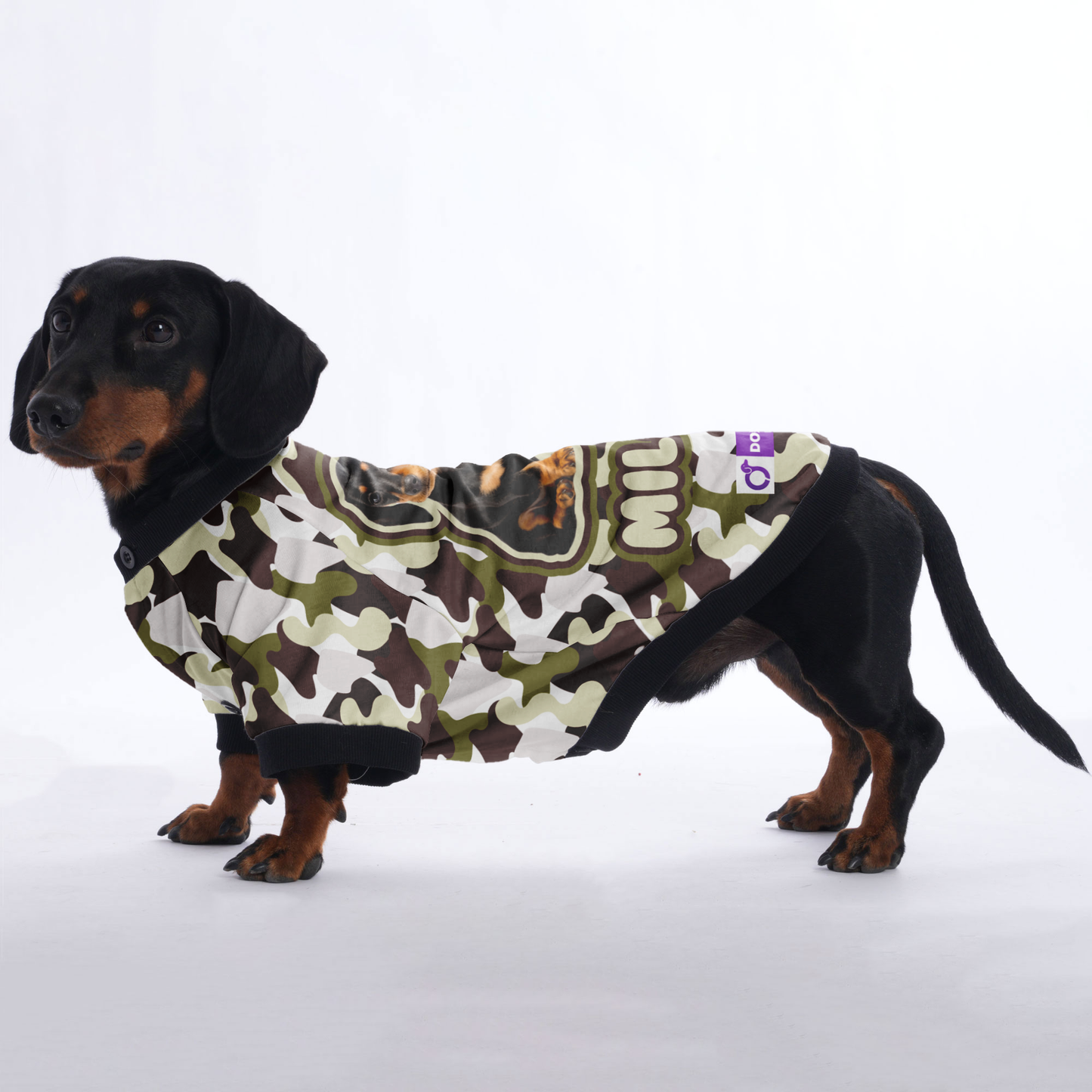 Custom Dachshund Jacket Featuring Your Dog's Name and Photo