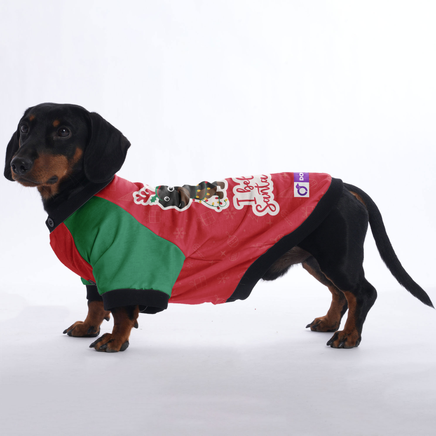 I believe in Santa Paws  - Jacket for Dachshunds