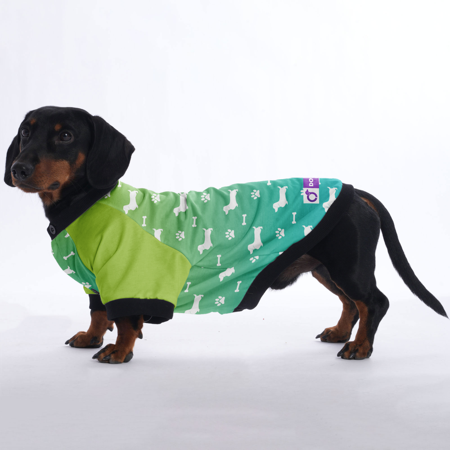 Bodo - Jacket for Dachshunds