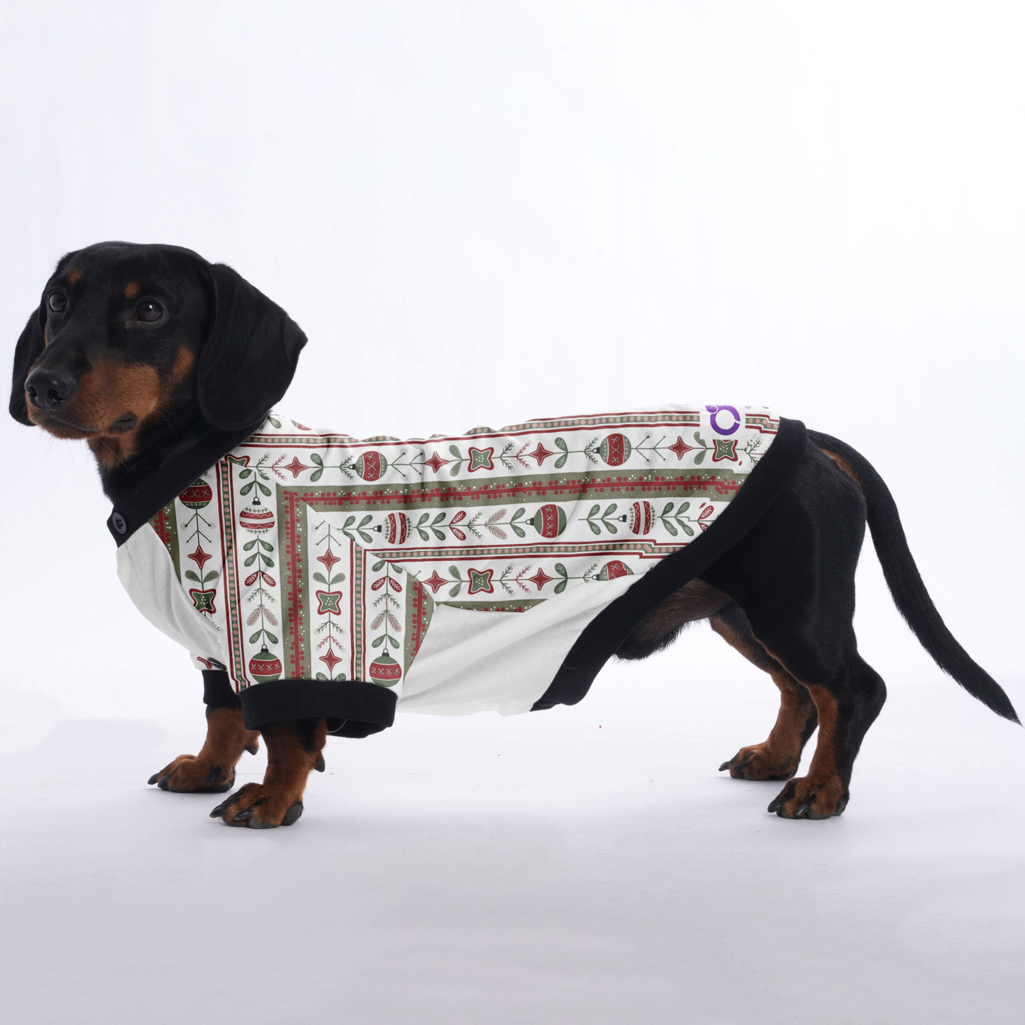 Cooper - Jacket for Dachshunds