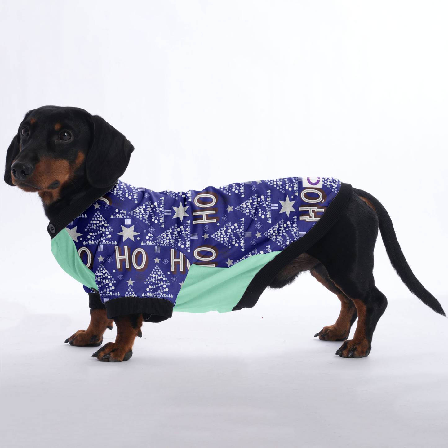 Lola - Jacket for Dachshunds