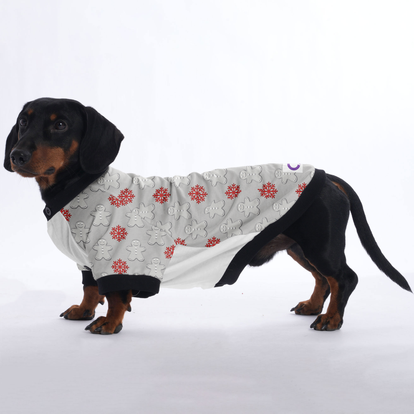 Sadie - Jacket for Dachshunds