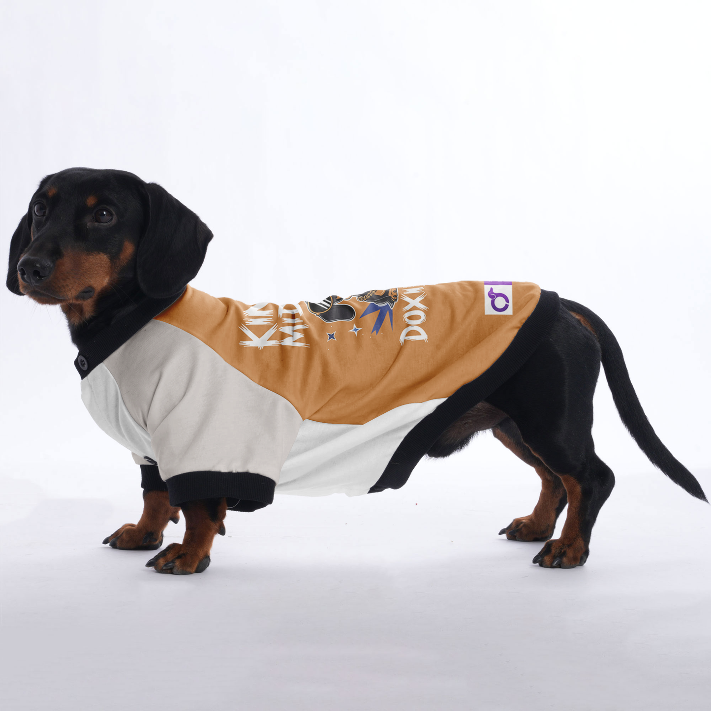 Maggie - Jacket for Dachshunds