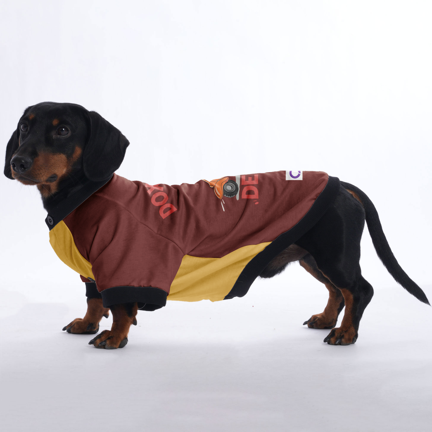 Sophie - Jacket for Dachshunds