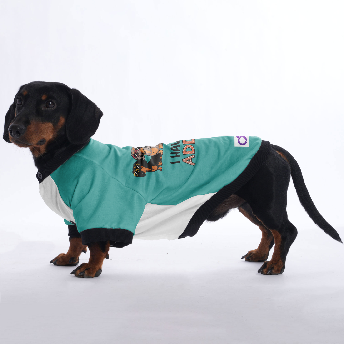 Toby - Jacket for Dachshunds