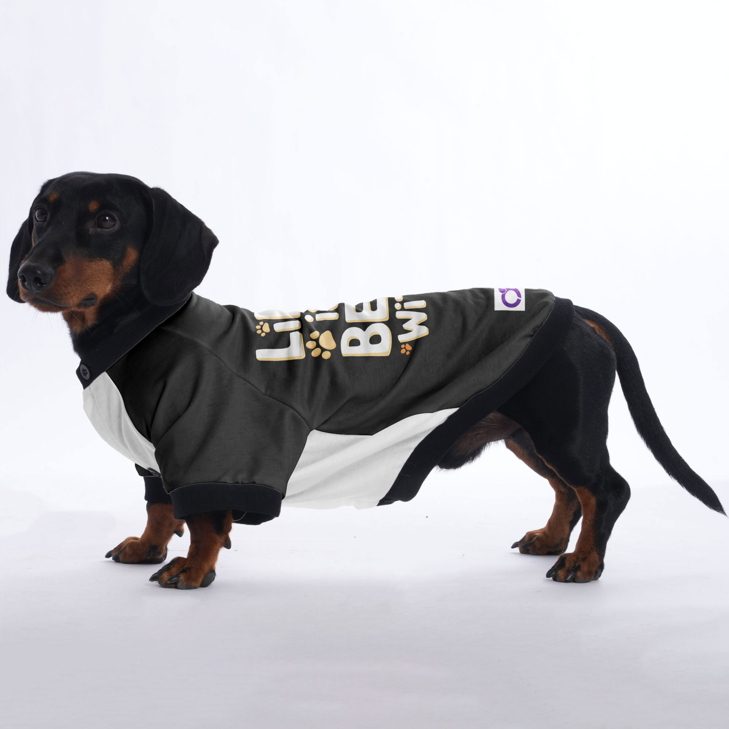 Gigi - Jacket for Dachshunds