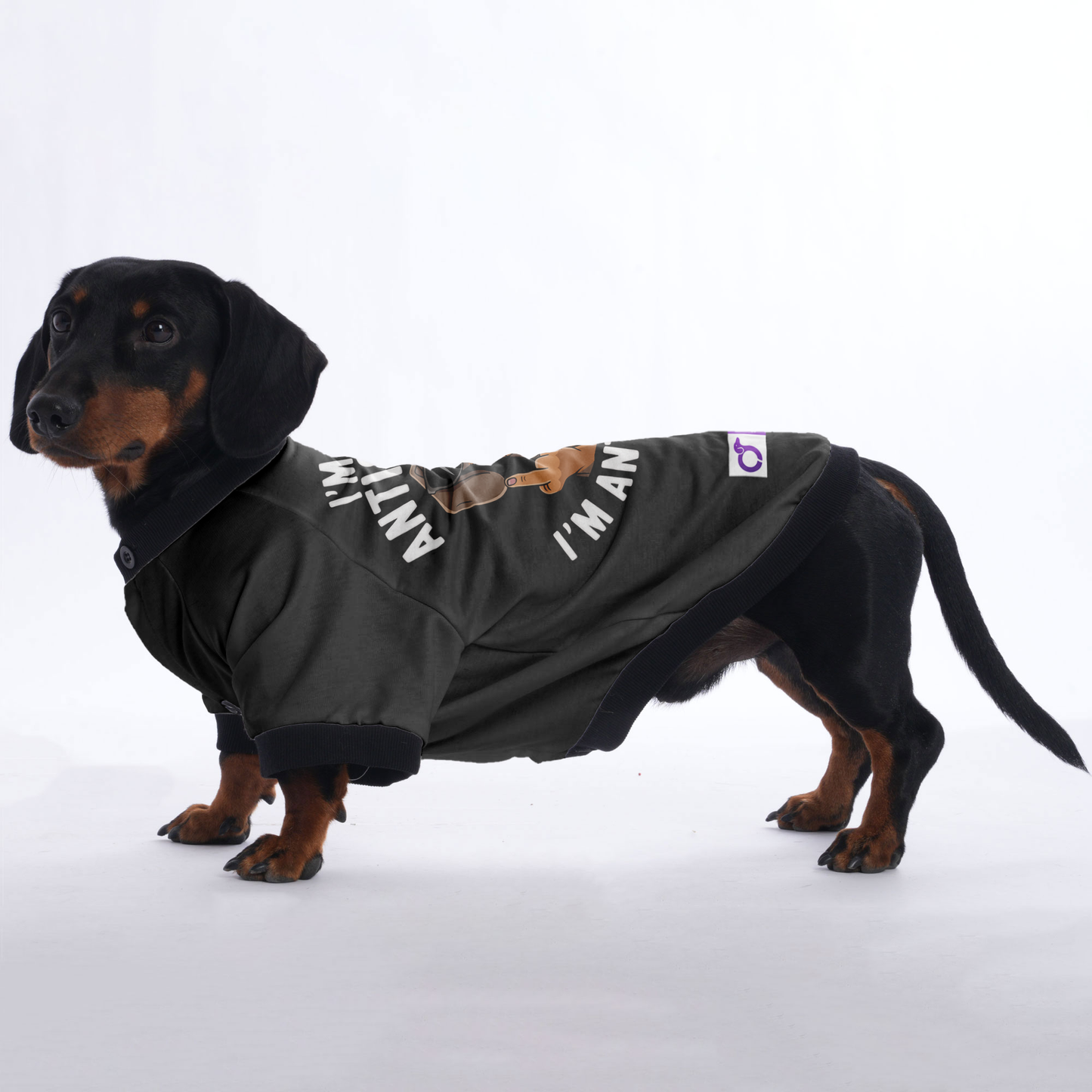 Nala - Jacket for Dachshunds