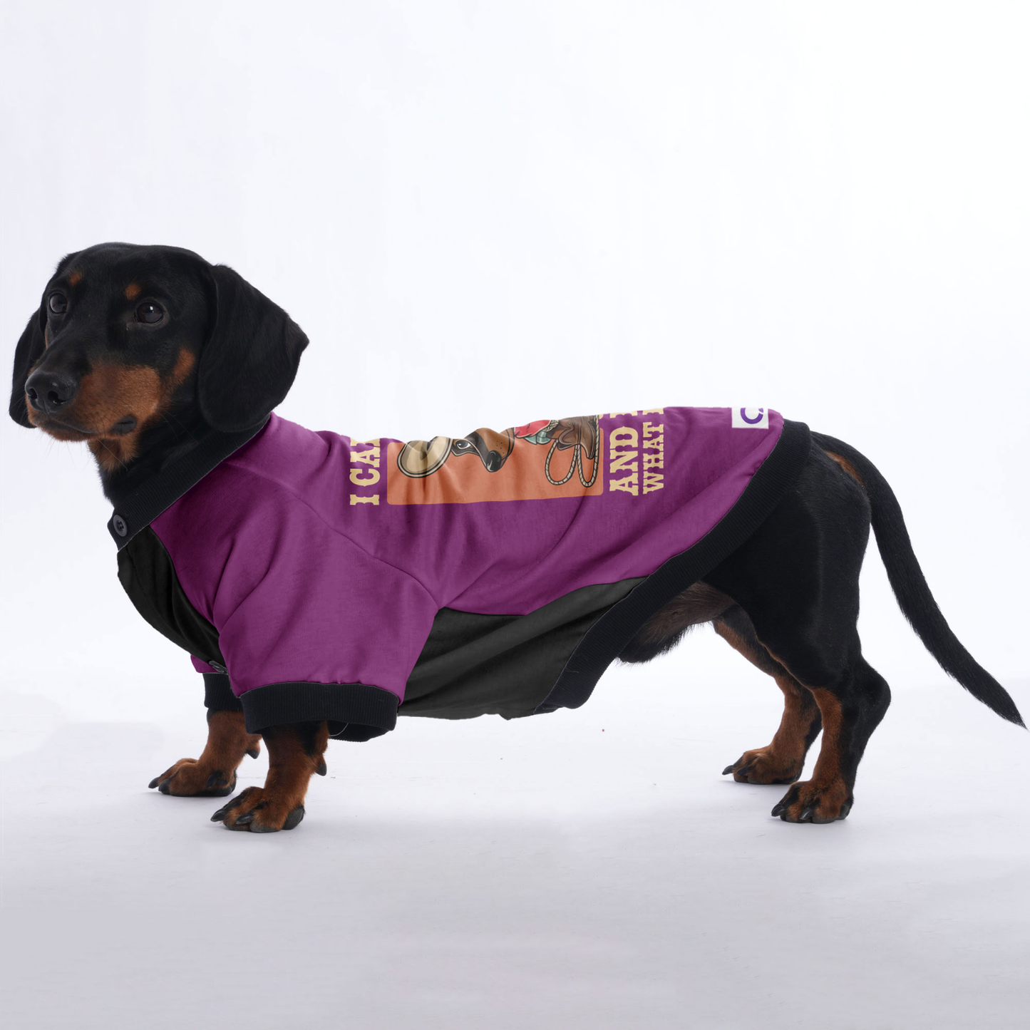 Rosie - Jacket for Dachshunds