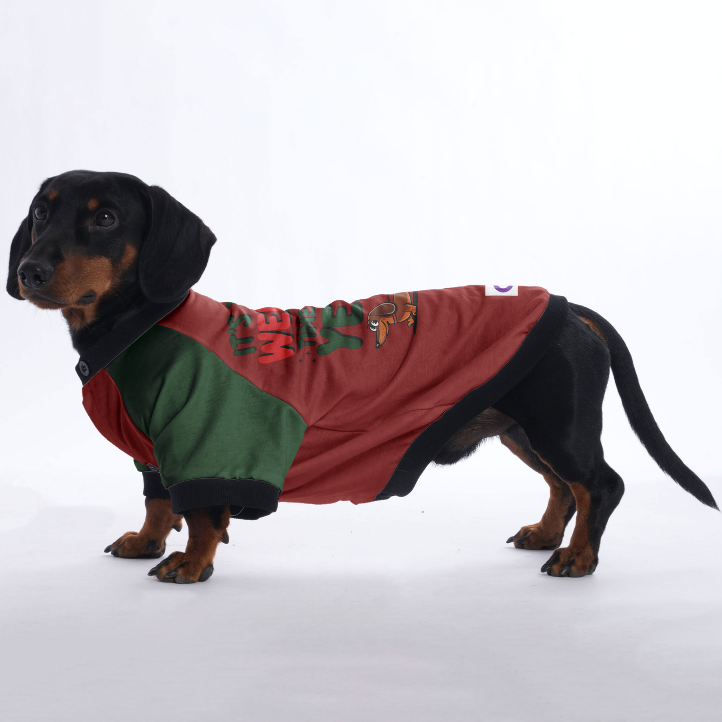 Max - Jacket for Dachshunds