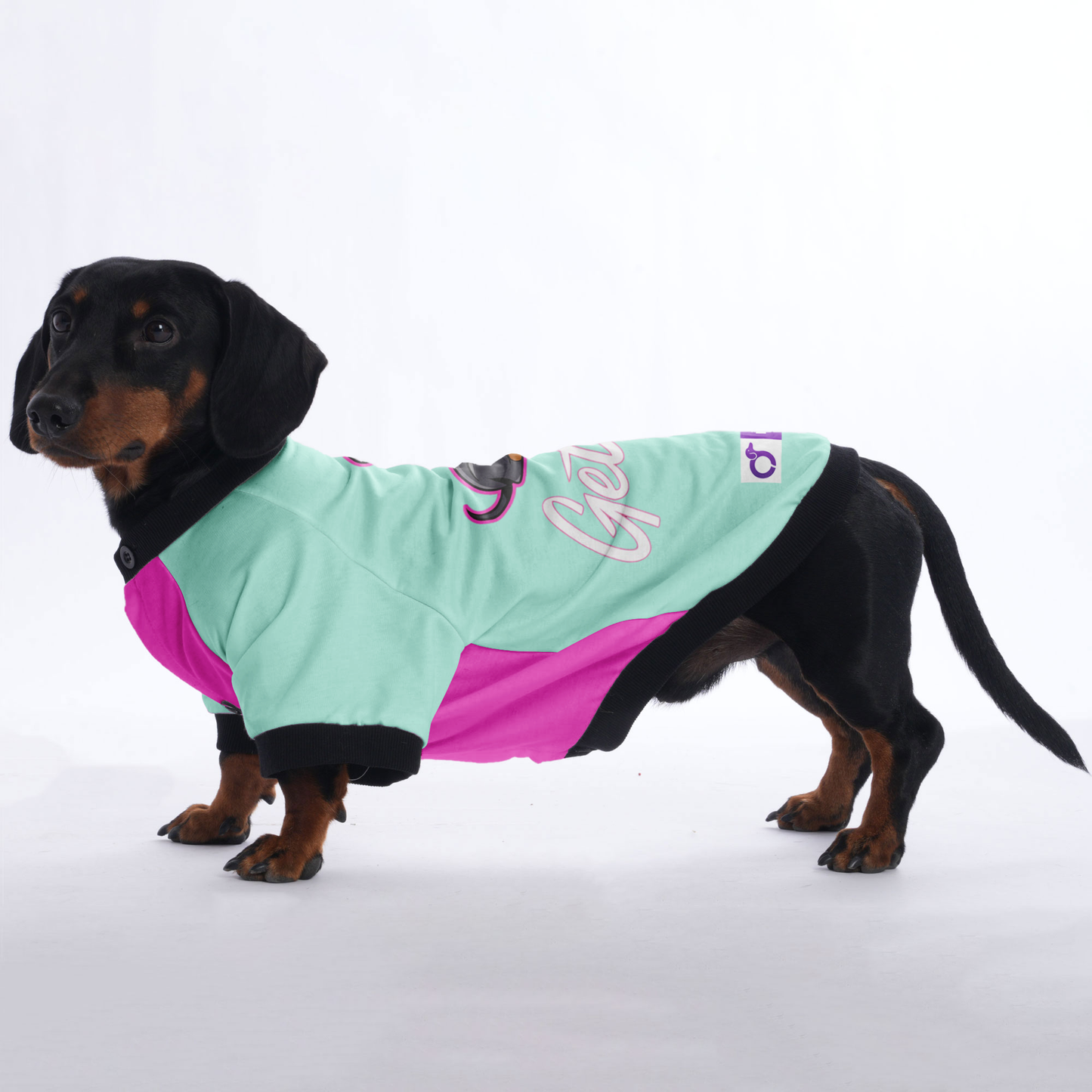 Willow - Jacket for Dachshunds