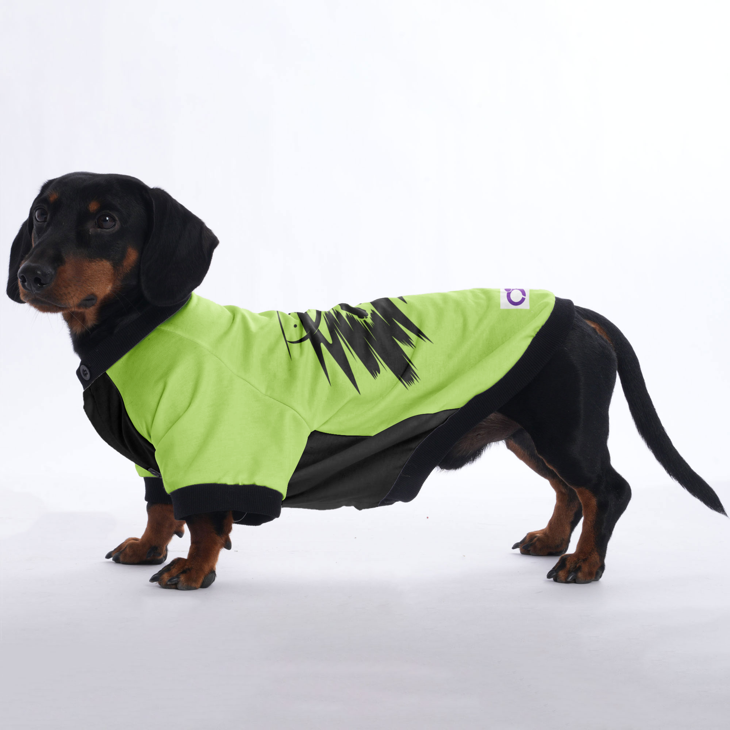 Gracie - Jacket for Dachshunds