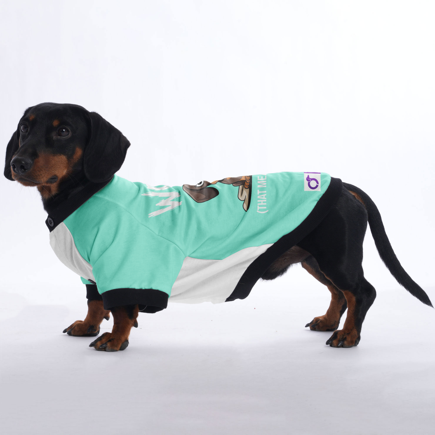 Ruby - Jacket for Dachshunds