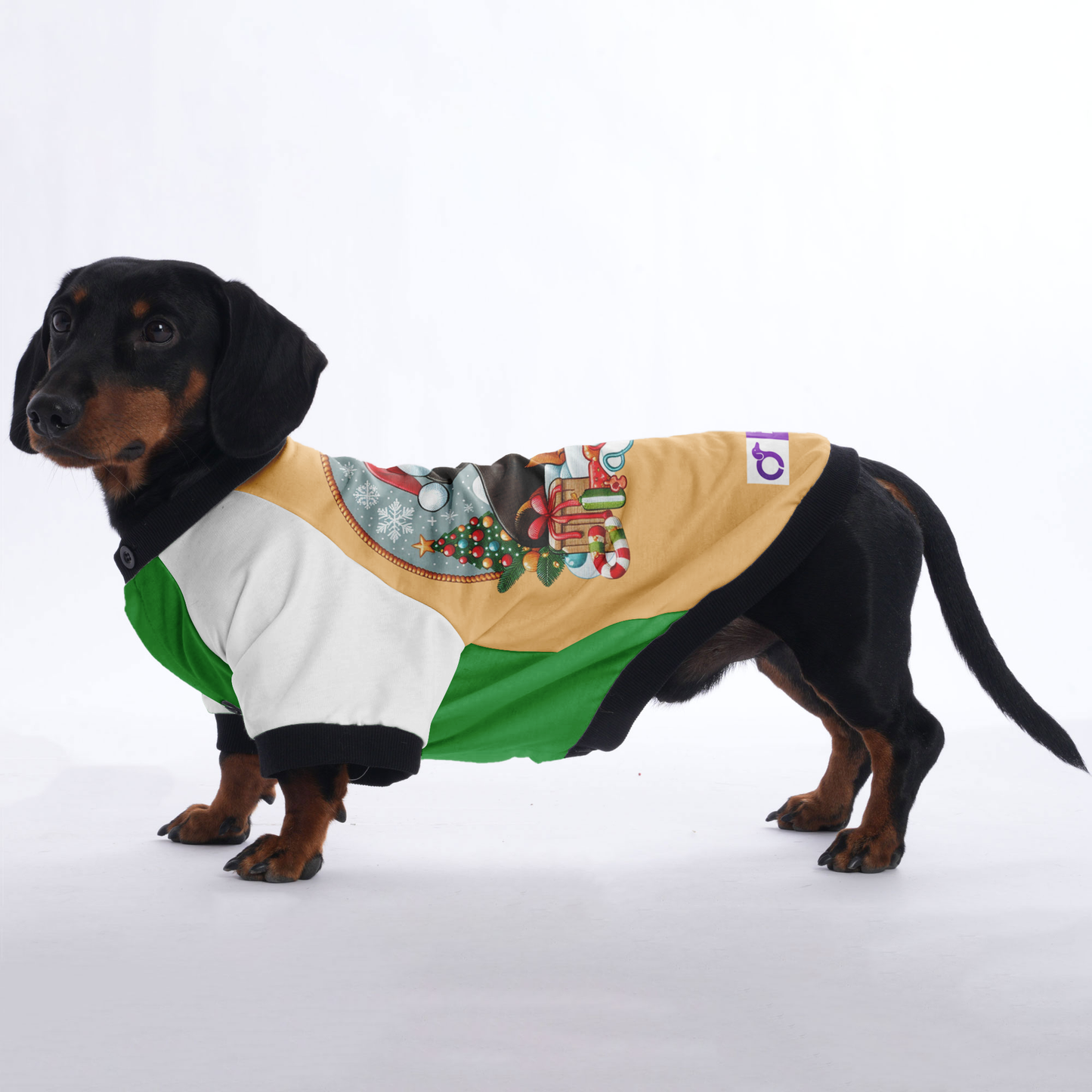 Coco - Jacket for Dachshunds