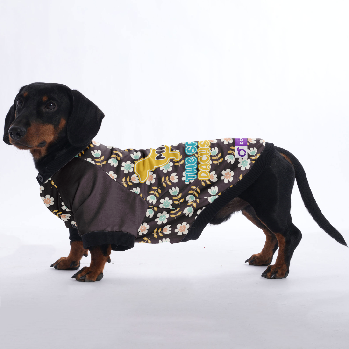 Personalized Dachshund Jacket with Your Dog's Name