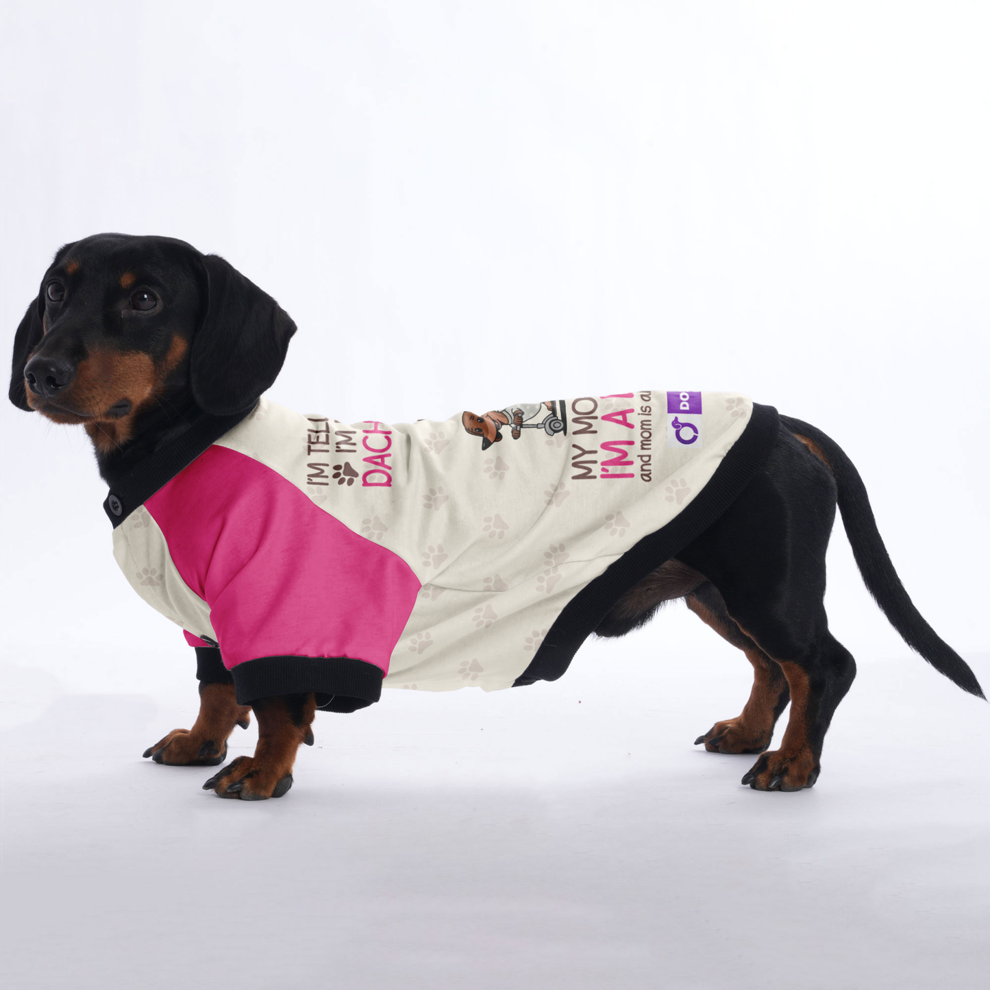 I’m telling you I’m not a dachshund; my mom said I’m a baby, and mom is always right - Jacket for Dachshunds