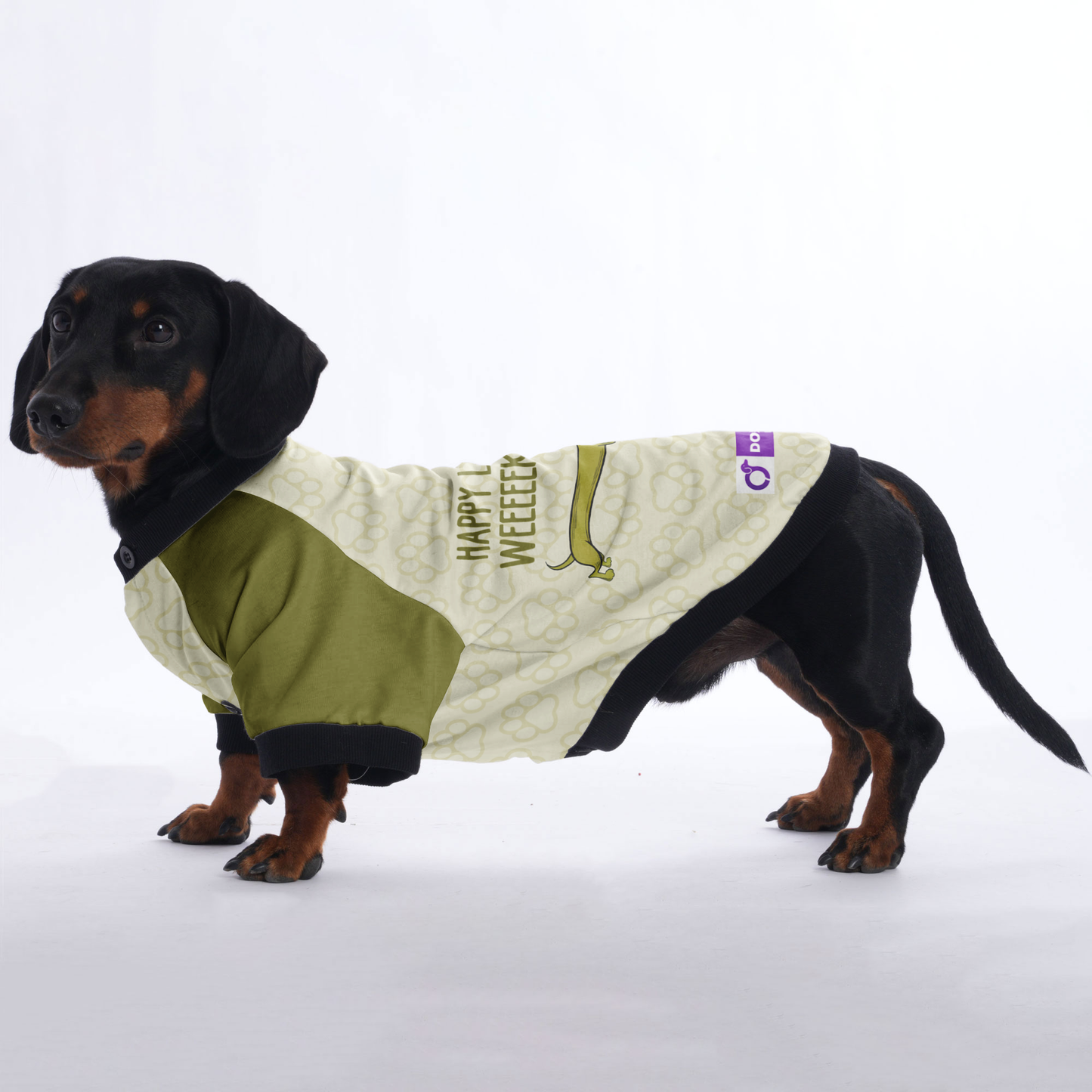 Happy Long Weeeeeeeeekend - Jacket for Dachshunds