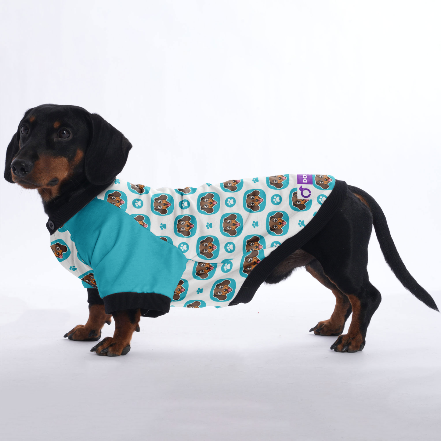 Nelly - Jacket for Dachshunds