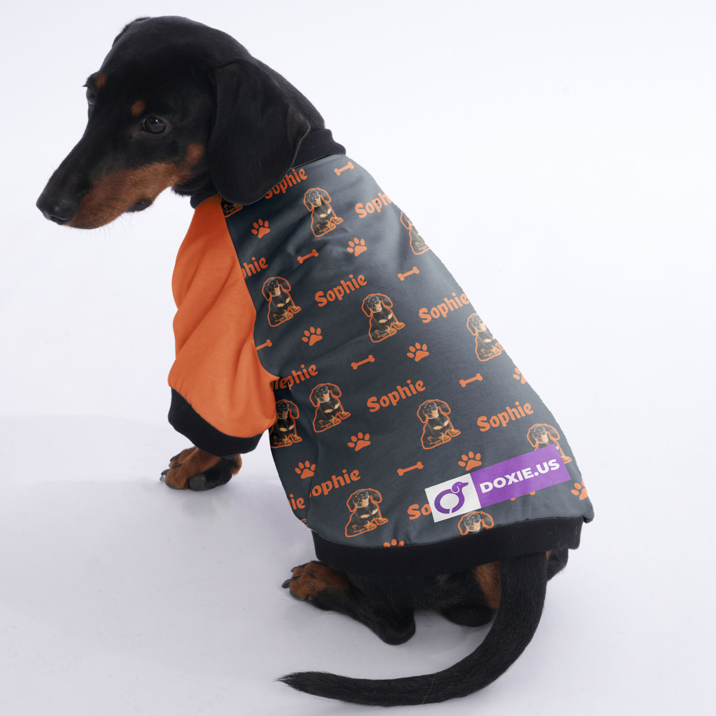 Customized Dachshund Jacket with Your Pet’s Name and Photo