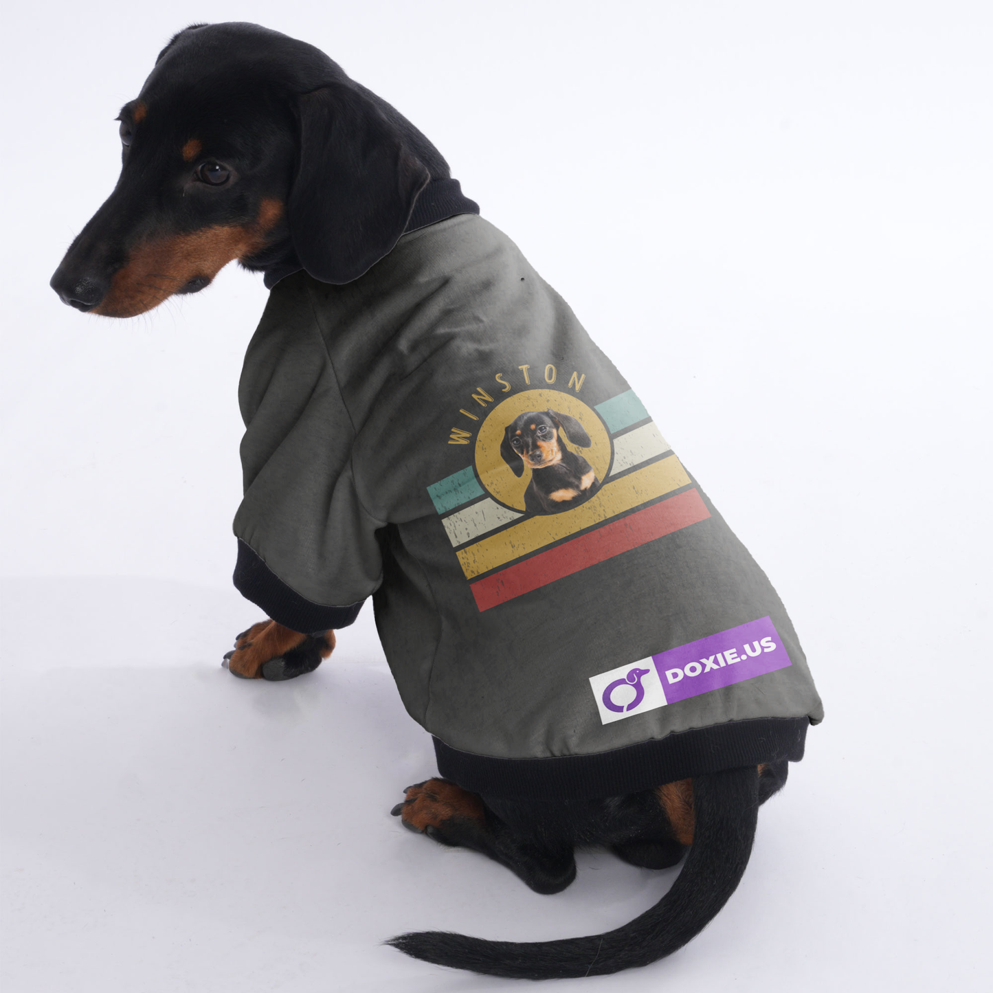 Personalized Dachshund Jacket with Your Dog's Name and Picture