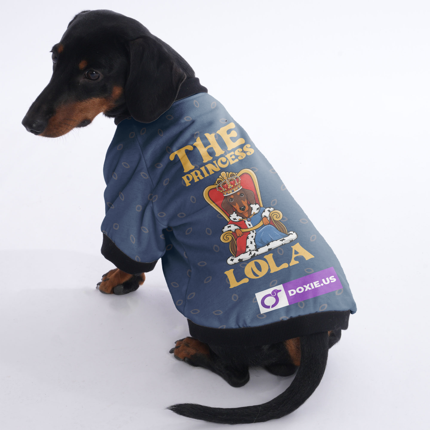 Customized Dachshund Jacket with Your Pet’s Name