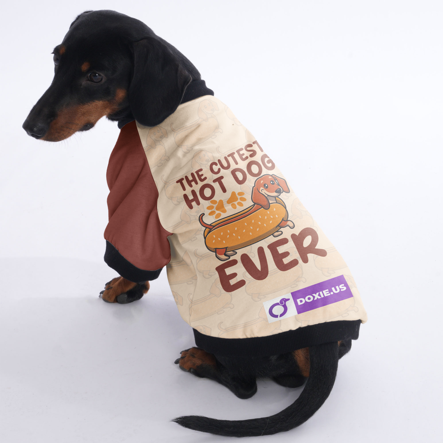 The cutest hot dog ever - Jacket for Dachshunds