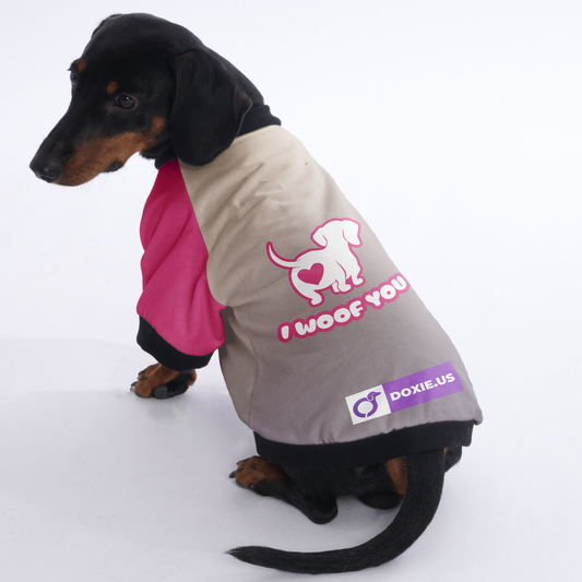 I woof you - Jacket for Dachshunds