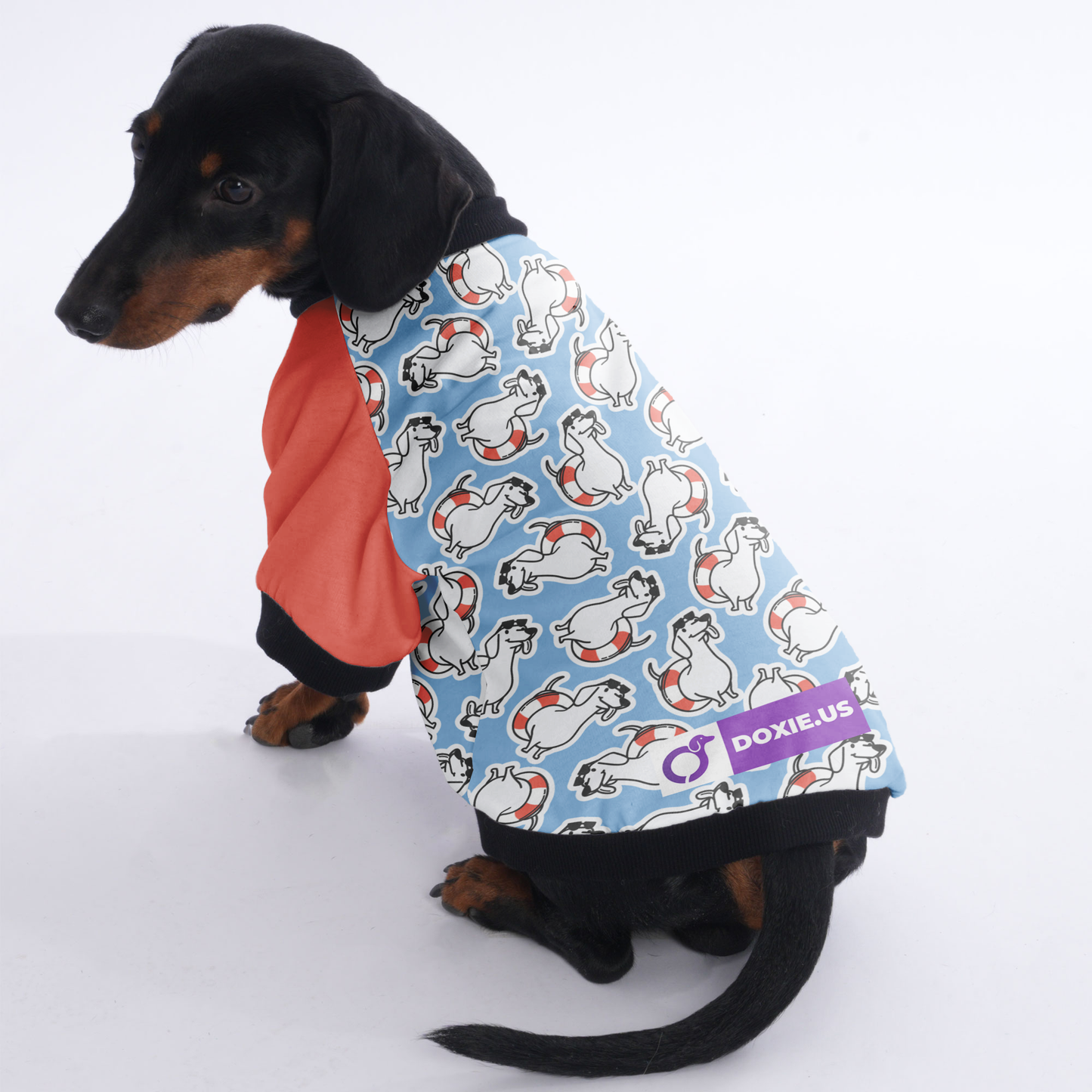 Sandra  - Jacket for Dachshunds