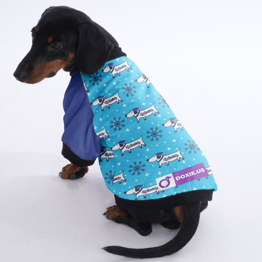 Tucker- Jacket for Dachshunds