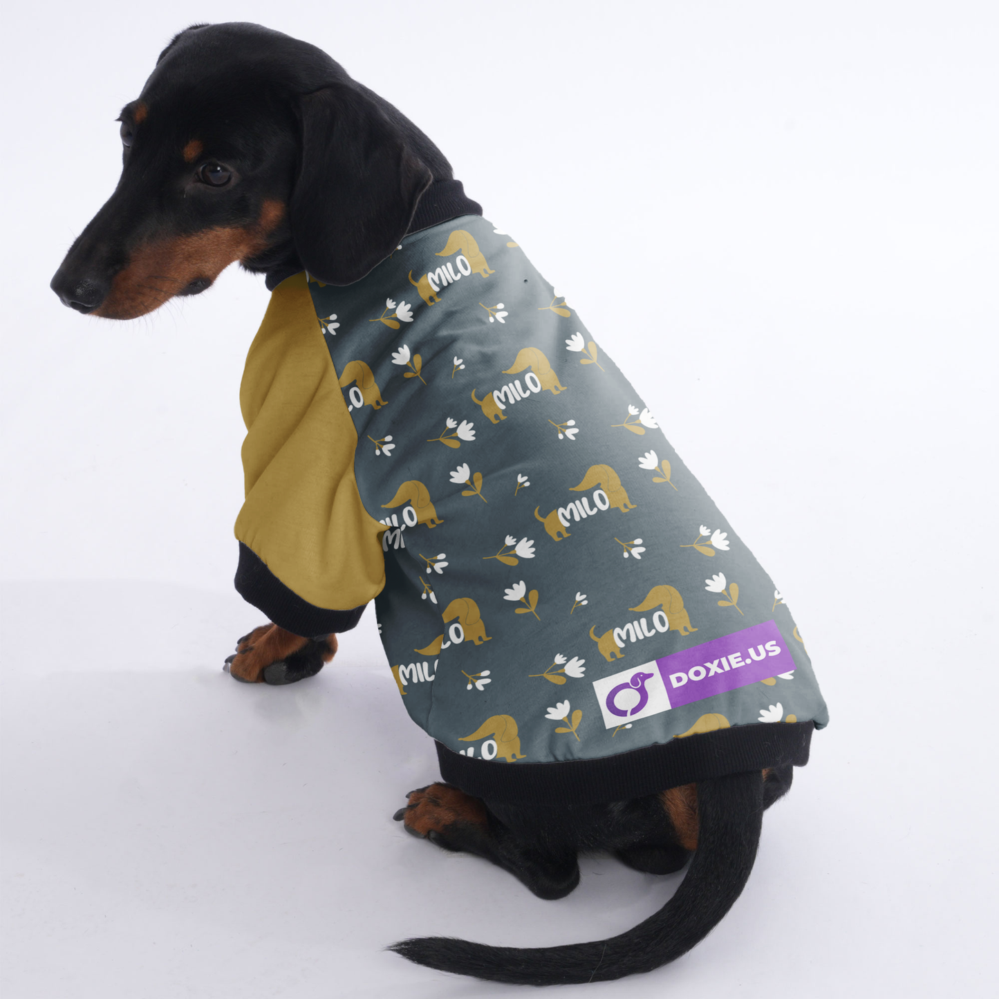 Custom Jacket for Dachshunds with Your Pet's Name Pattern