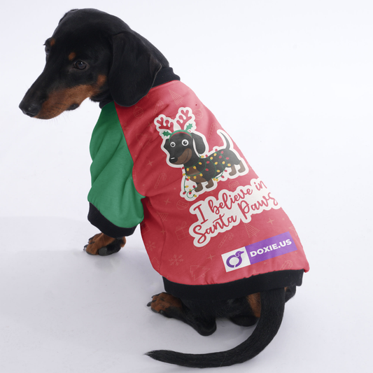 I believe in Santa Paws  - Jacket for Dachshunds