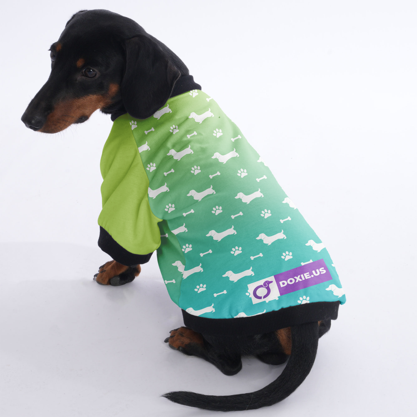 Bodo - Jacket for Dachshunds