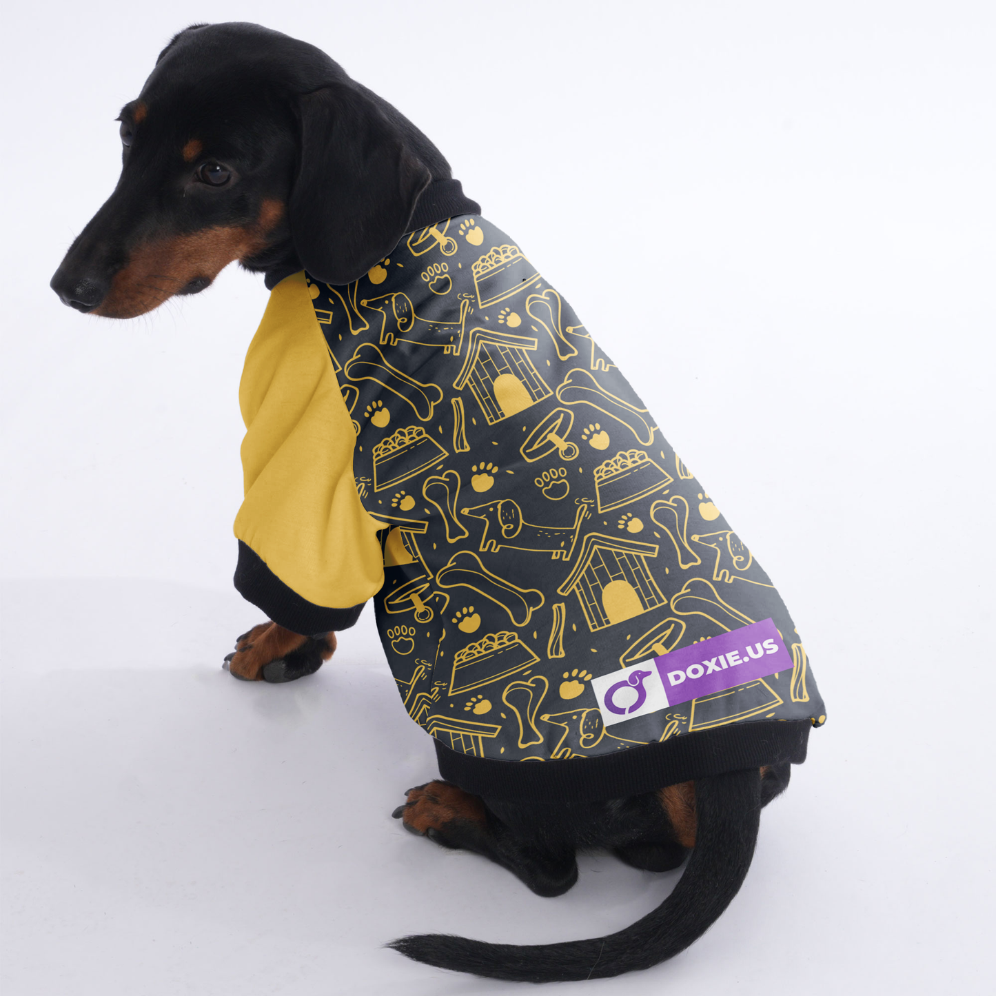 Waffles - Jacket for Dachshunds