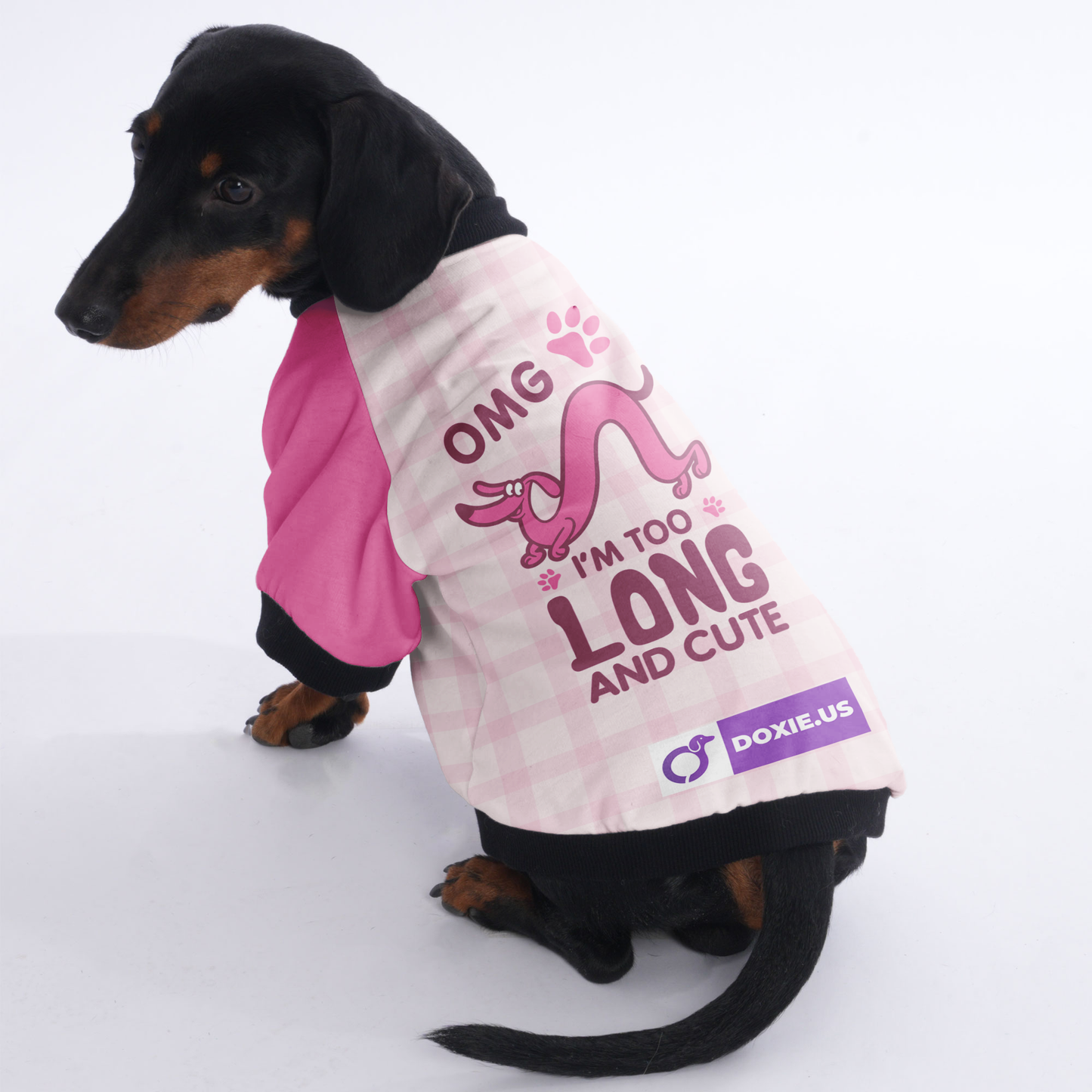 OMG I'M TOO LONG AND CUTE - Jacket for Dachshunds