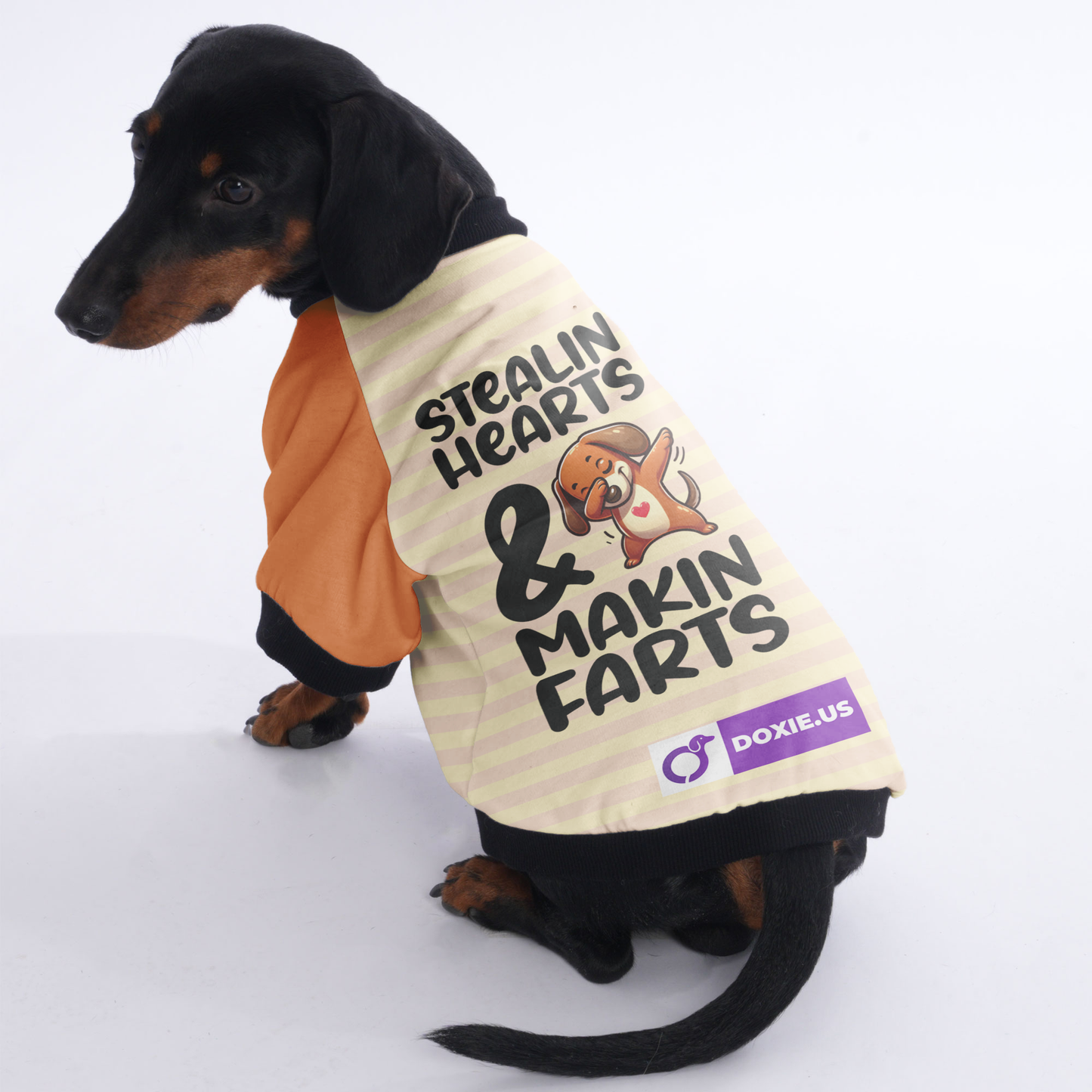 Stealin Hearts & Makin Farts - Jacket for Dachshunds