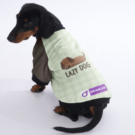 Lazy dog  - Jacket for Dachshunds