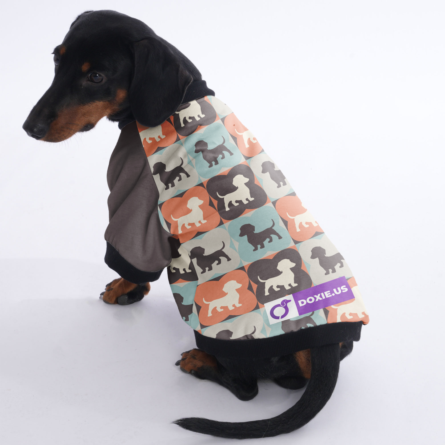 Molly  - Jacket for Dachshunds