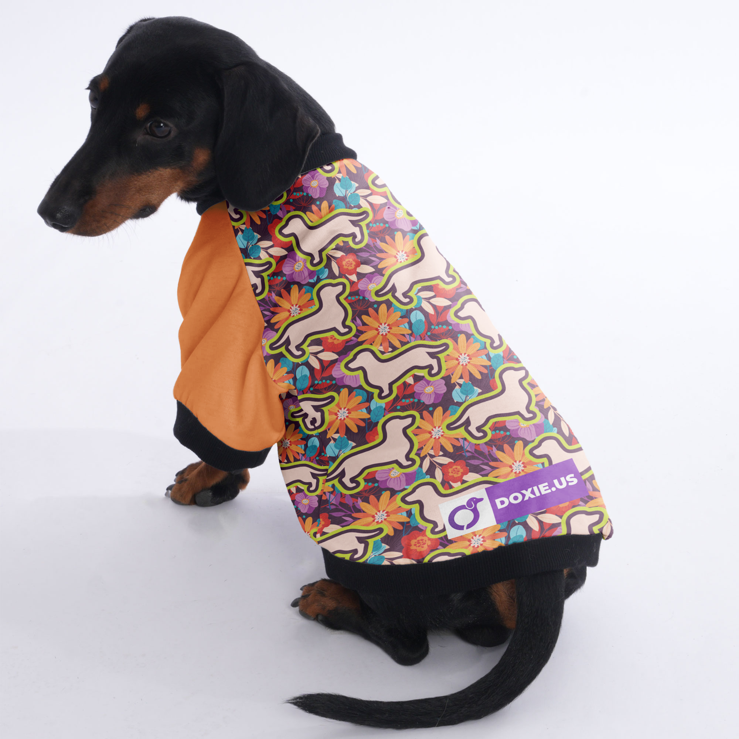 Ollie - Jacket for Dachshunds