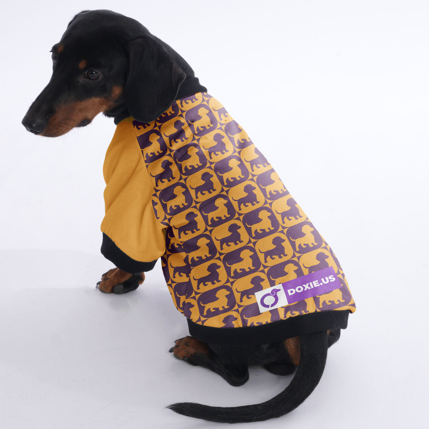 Ludwig - Jacket for Dachshunds