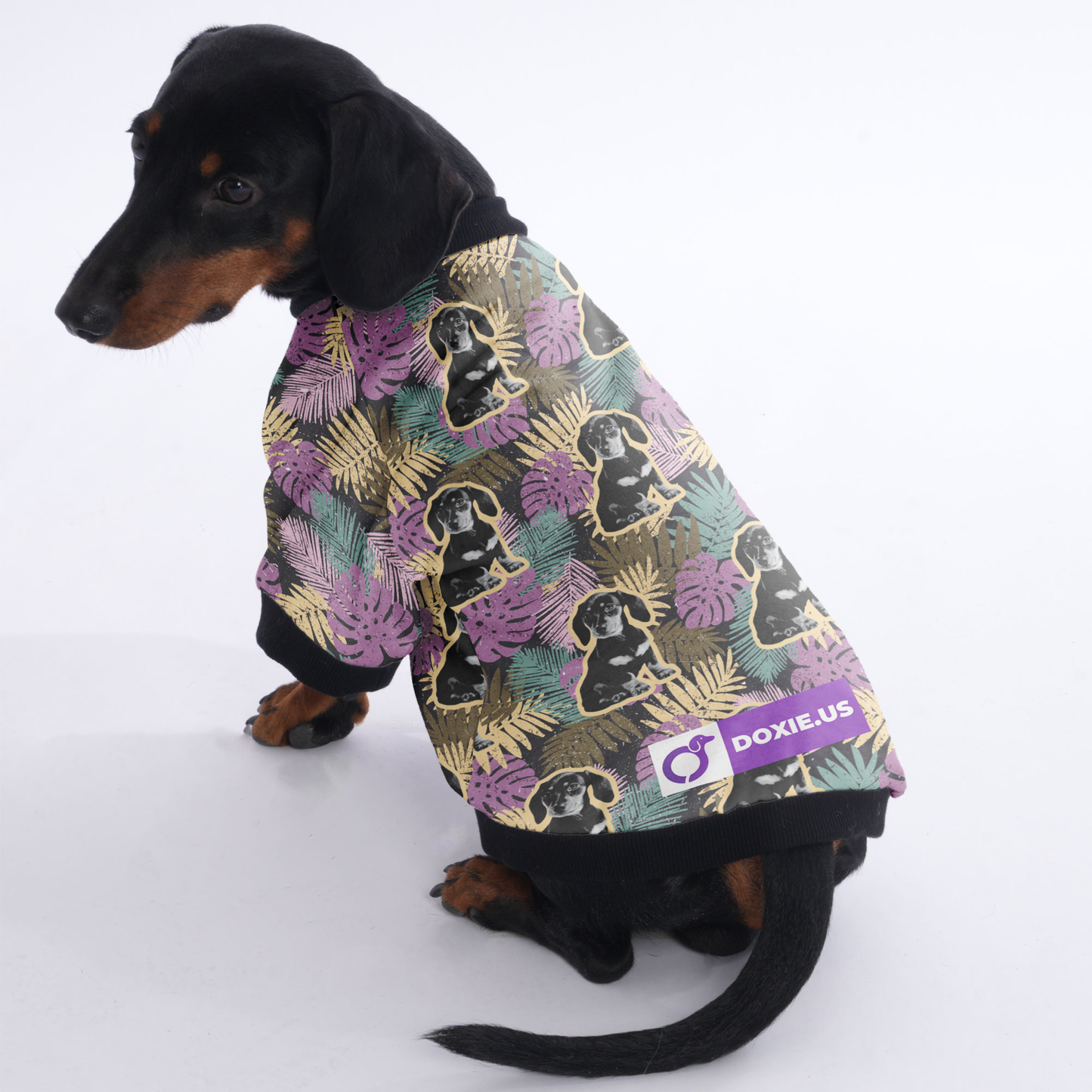 Personalized Doxie Jacket with Your Pup's  picture