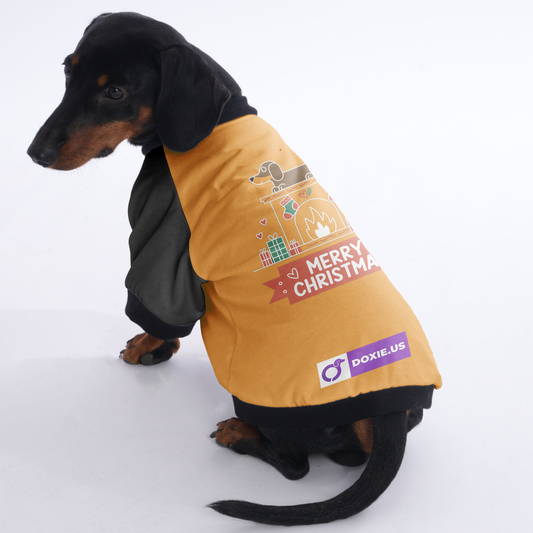 Bella - Jacket for Dachshunds