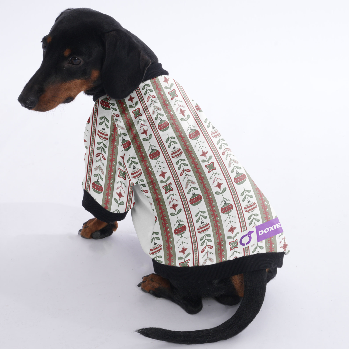 Cooper - Jacket for Dachshunds