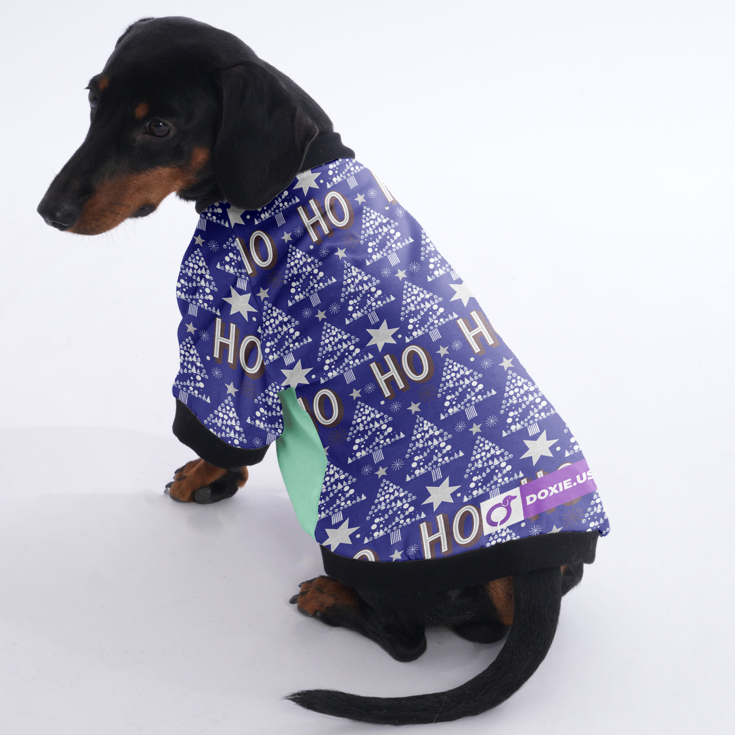 Lola - Jacket for Dachshunds