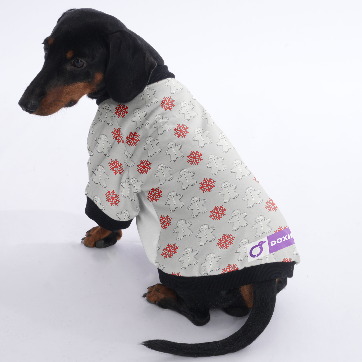 Sadie - Jacket for Dachshunds