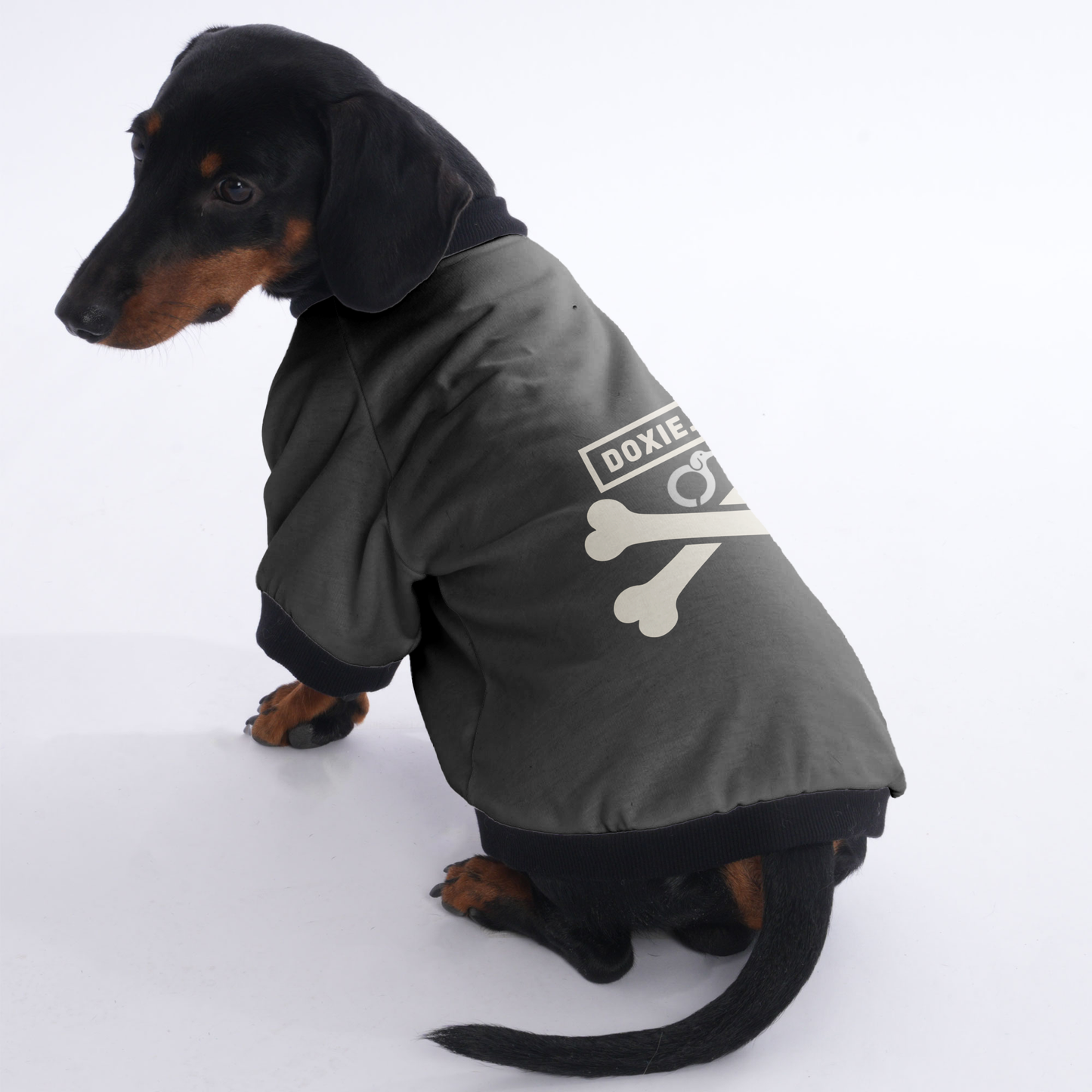 Bear - Jacket for Dachshunds