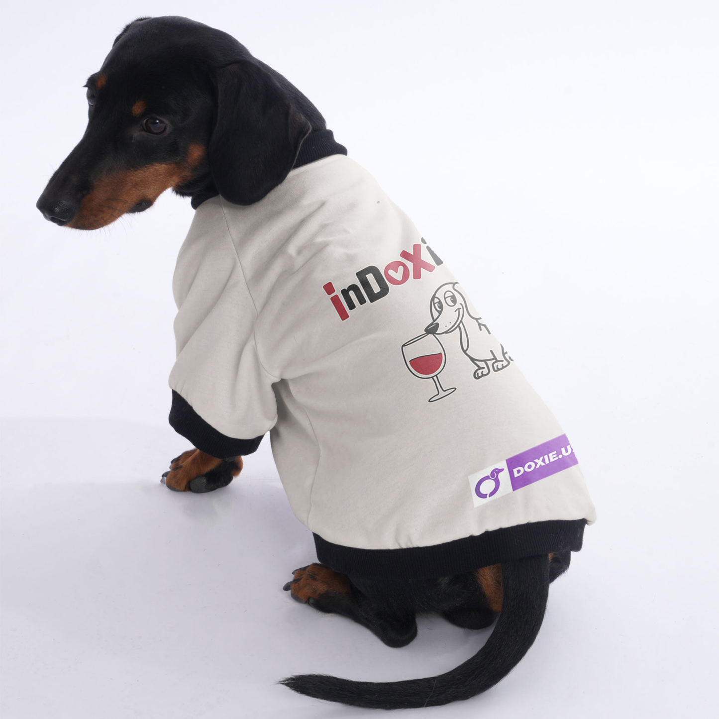 Chloe - Jacket for Dachshunds