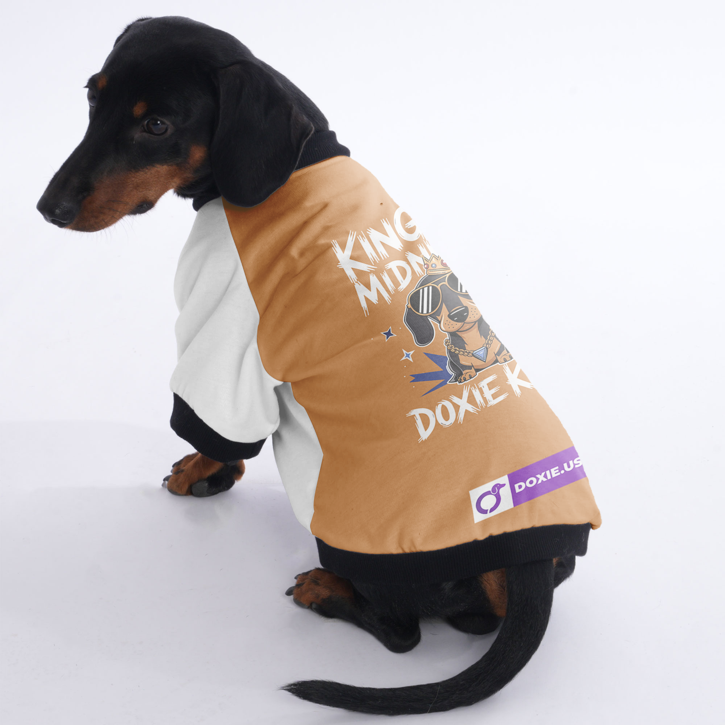 Maggie - Jacket for Dachshunds