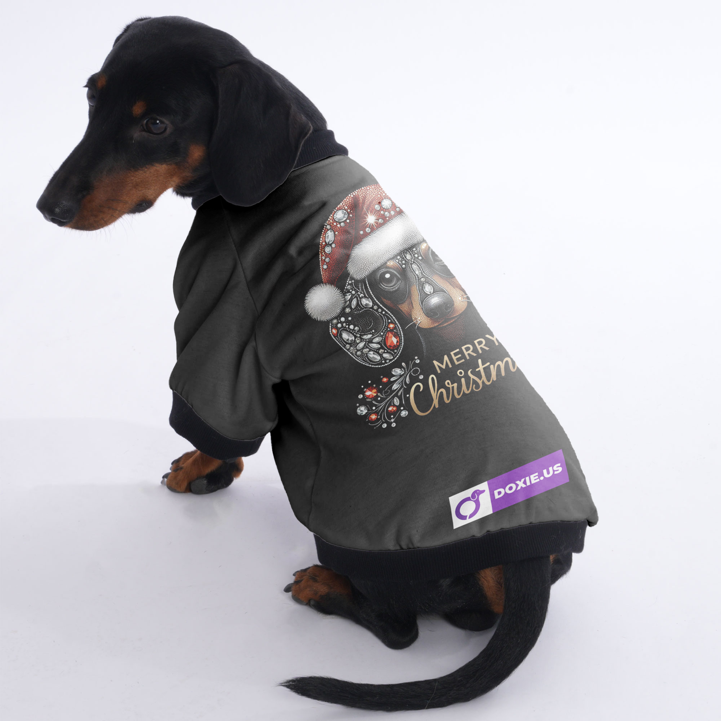 Luna - Jacket for Dachshunds